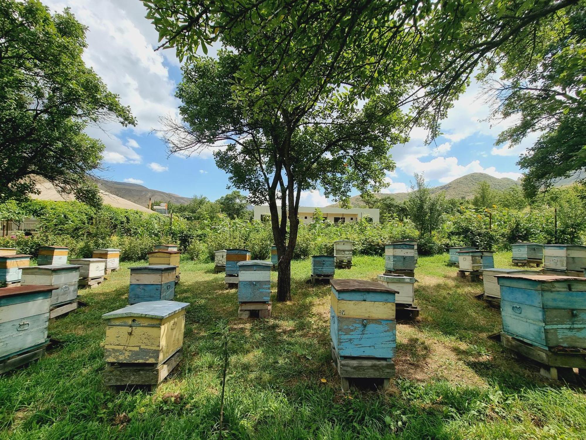 Bee House 호텔 Pia 외부 사진