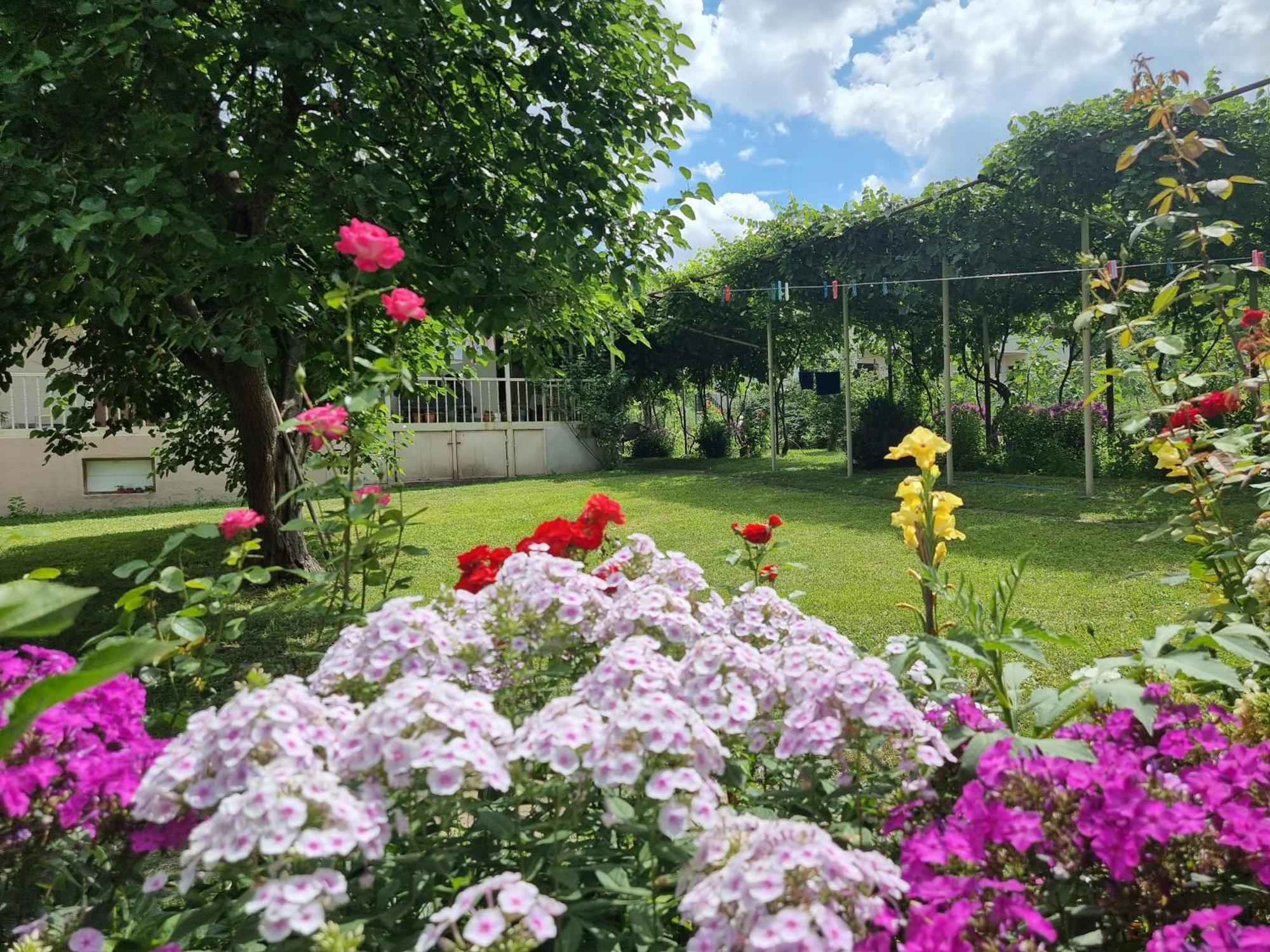 Bee House 호텔 Pia 외부 사진