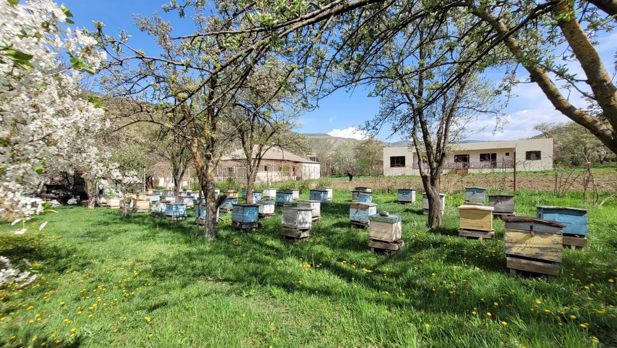 Bee House 호텔 Pia 외부 사진