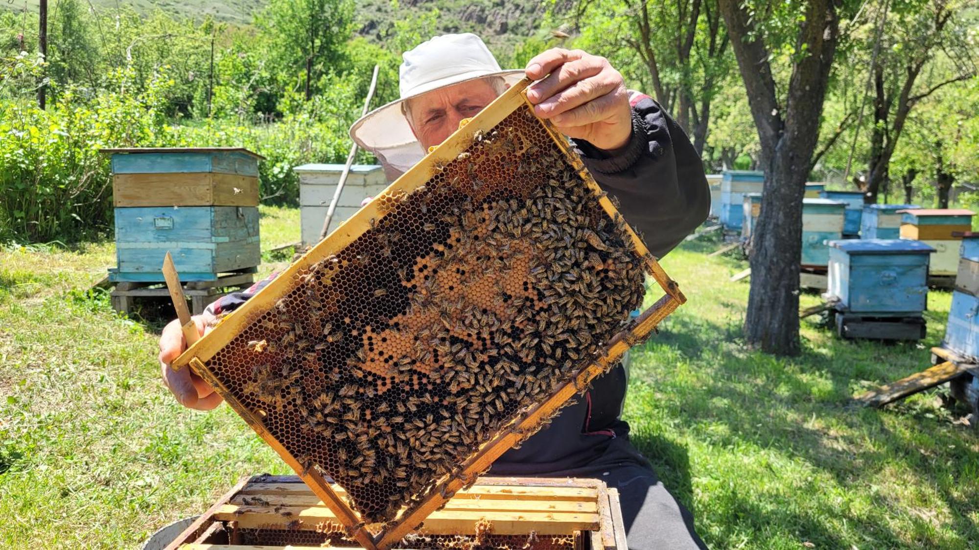Bee House 호텔 Pia 외부 사진