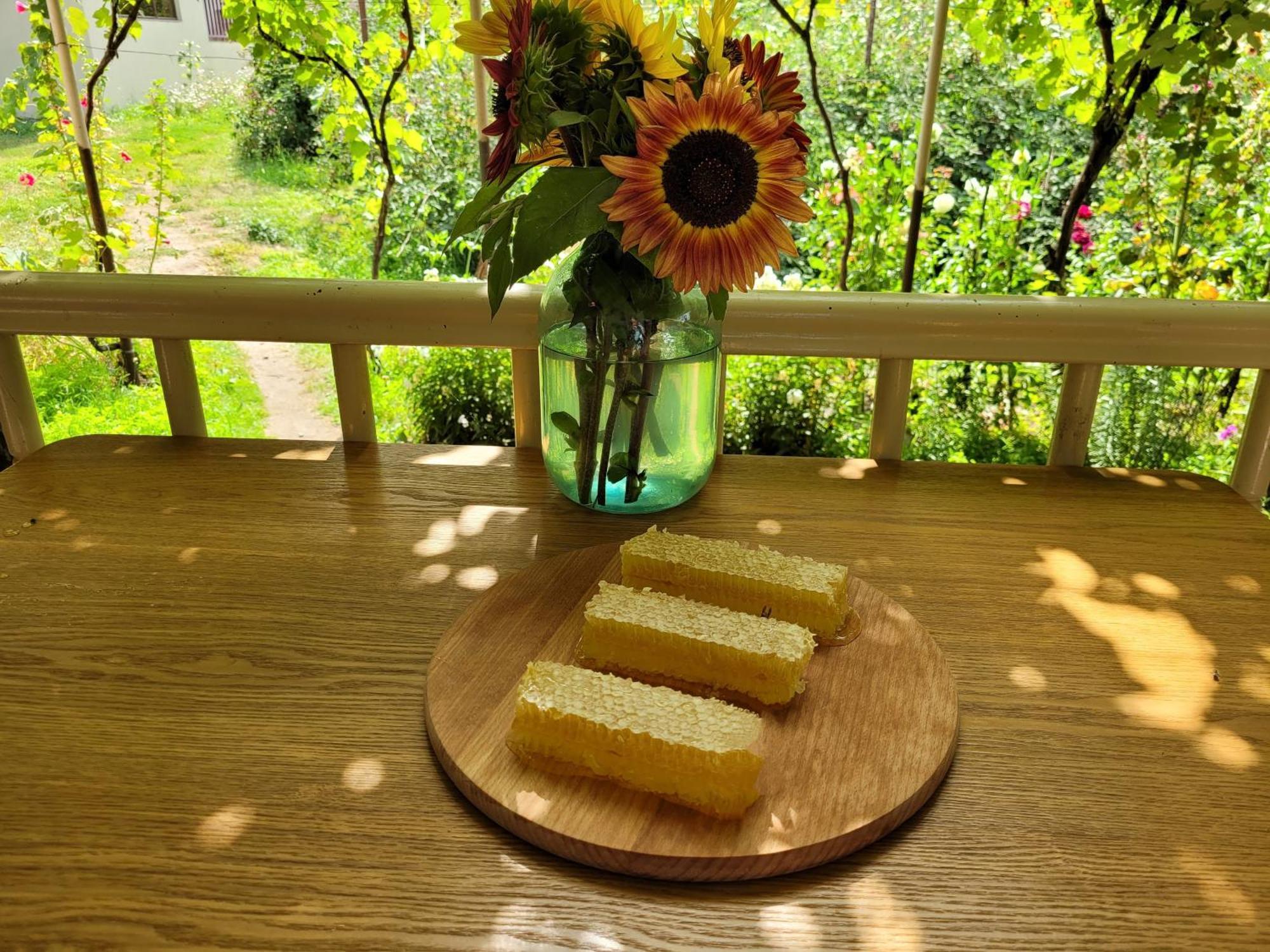 Bee House 호텔 Pia 외부 사진